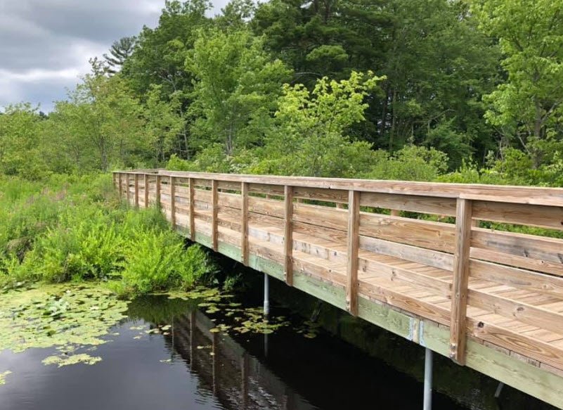 Bristol Blake State Reservation, Massachusetts, USA